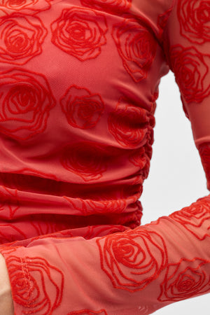 Elodie Topp - Cranberry Poinsette Roses